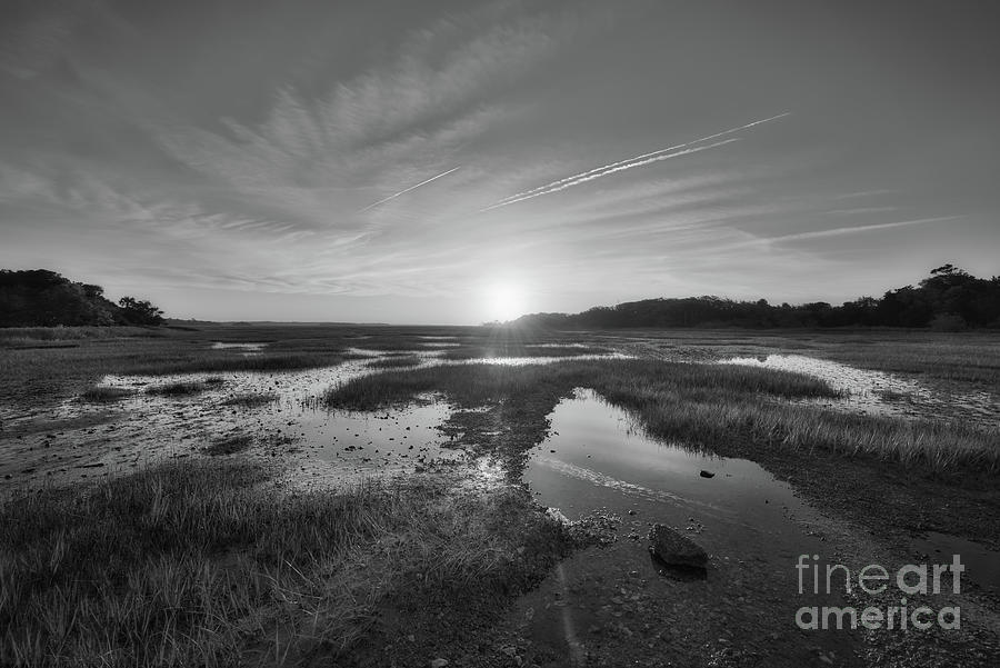 Sunrise Over The Marsh Bw Photograph