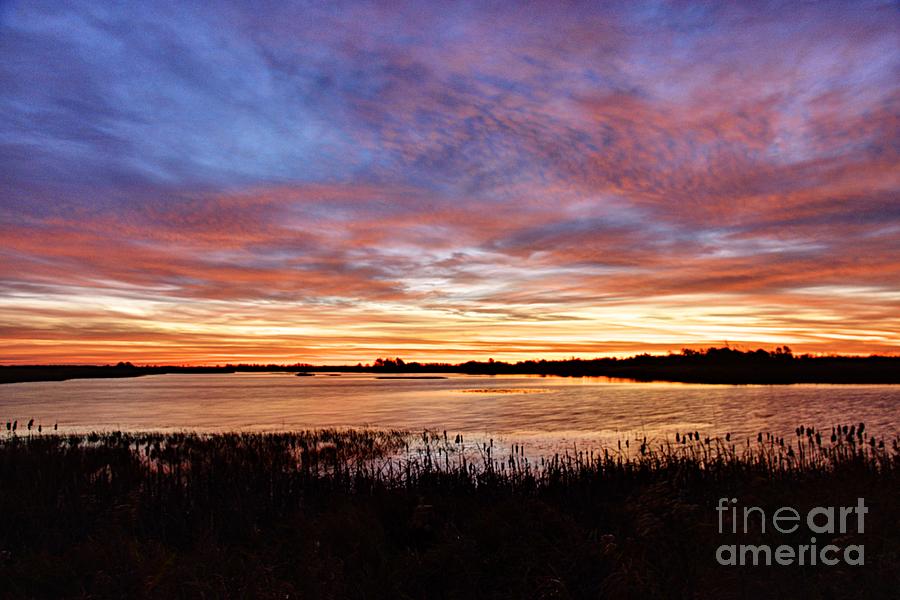 Sunrise over the Marsh Photograph by Larry Ricker
