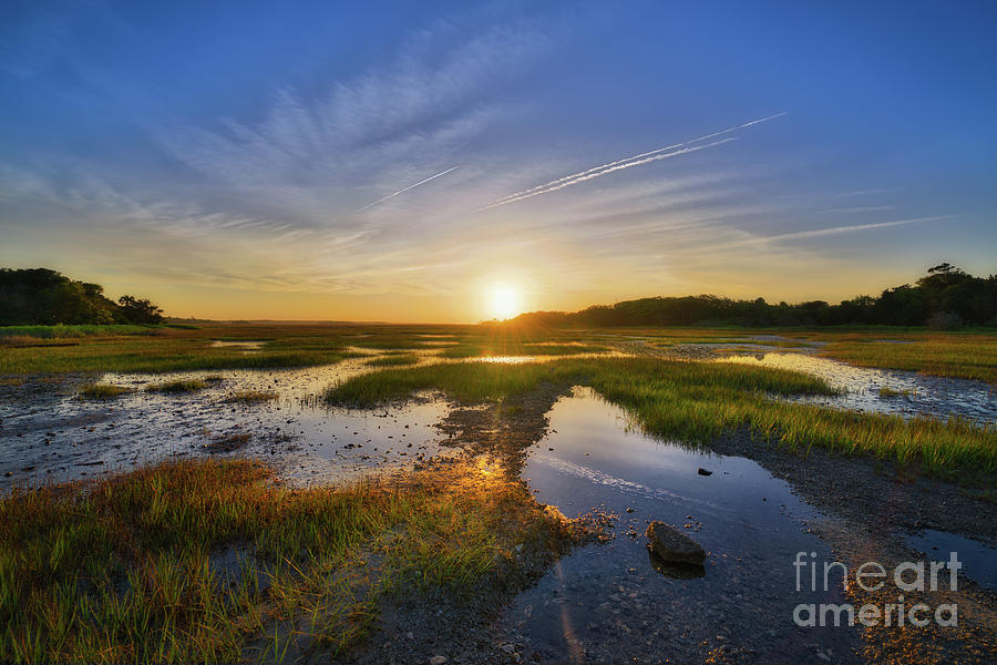Sunrise over the marsh  Photograph by Michael Ver Sprill