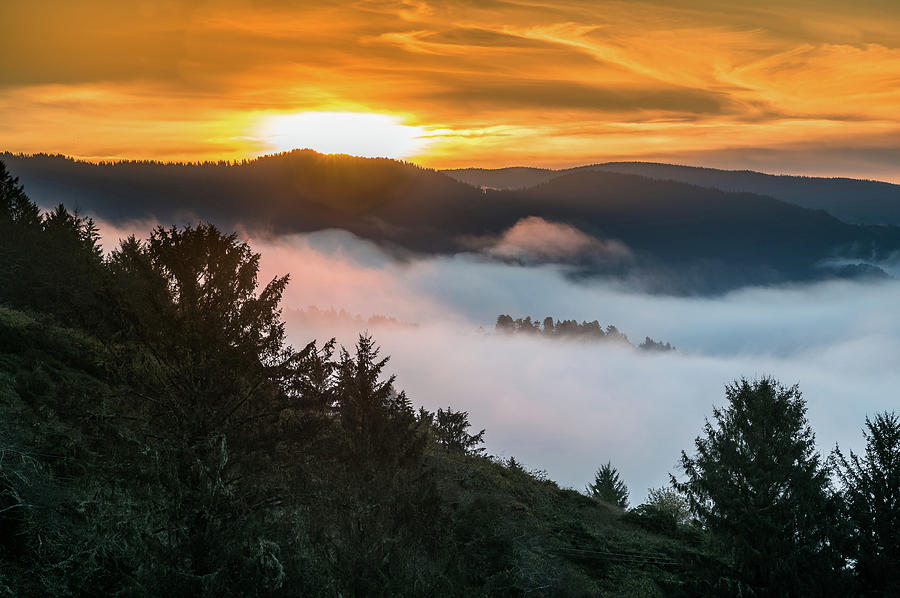 Sunrise over the Mists Photograph by Greg Nyquist