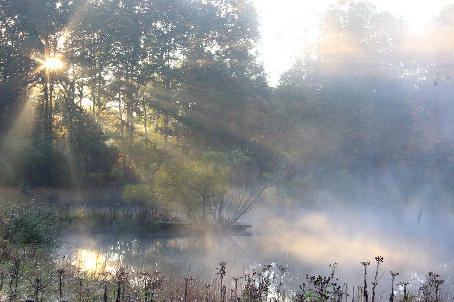 Sunrise over the Pond Photograph by Vickie Teter - Fine Art America