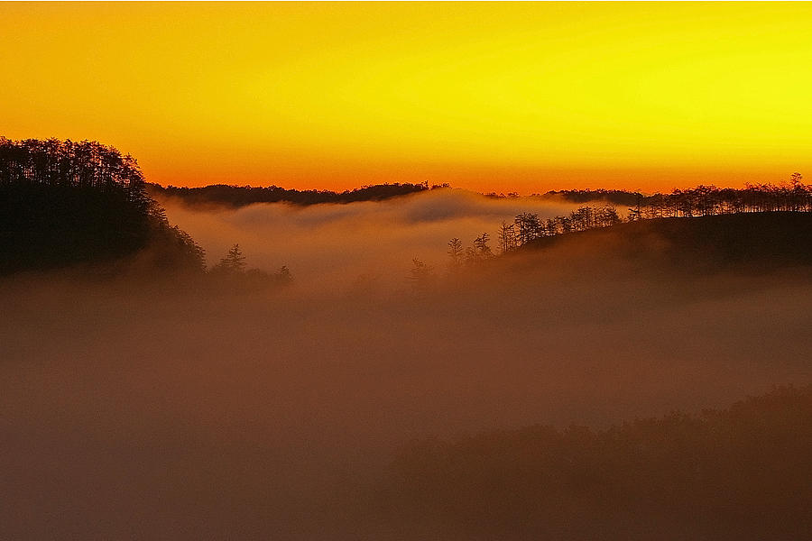 Sunrise over the Red River Gorge. Photograph by Ulrich Burkhalter