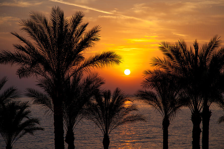 Sunrise over the Red Sea Photograph by Jane Rix