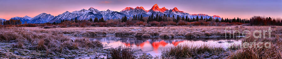 Sunrise Over The Teton Willows Panorama Photograph by Adam Jewell
