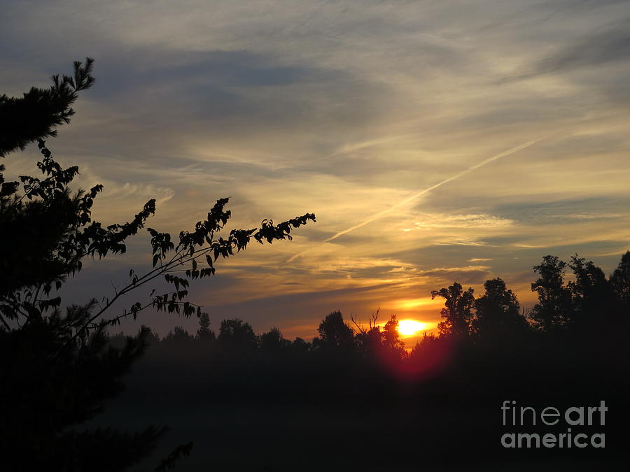 Sunrise Over the Trees Photograph by Craig Walters