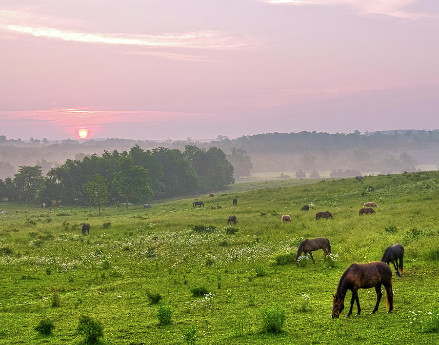 Sunrise over the Valley of the Horse Photograph by Ron  McGinnis