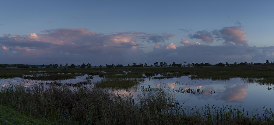 Sunrise over the wetlands Photograph by David Watkins