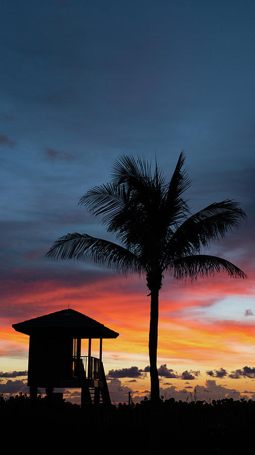 Sunrise Palm Delray Beach Florida Photograph by Lawrence S Richardson Jr