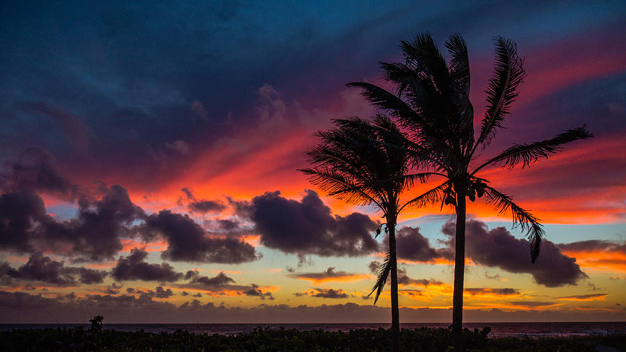 Sunrise Palms Delray Beach Photograph by Lawrence S Richardson Jr