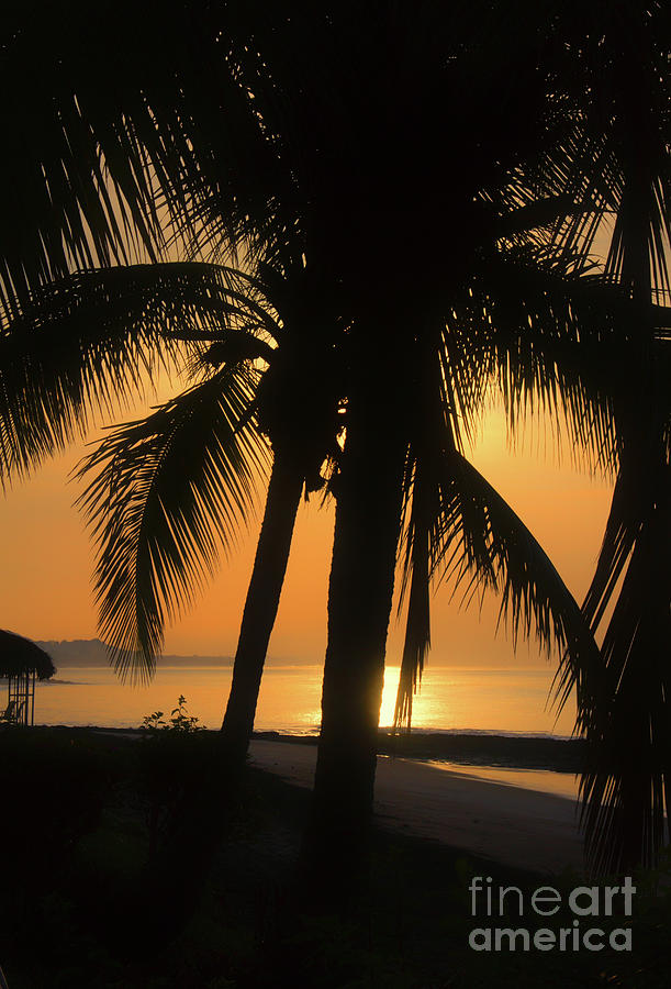 Sunrise Panama Photograph by Bob Hislop