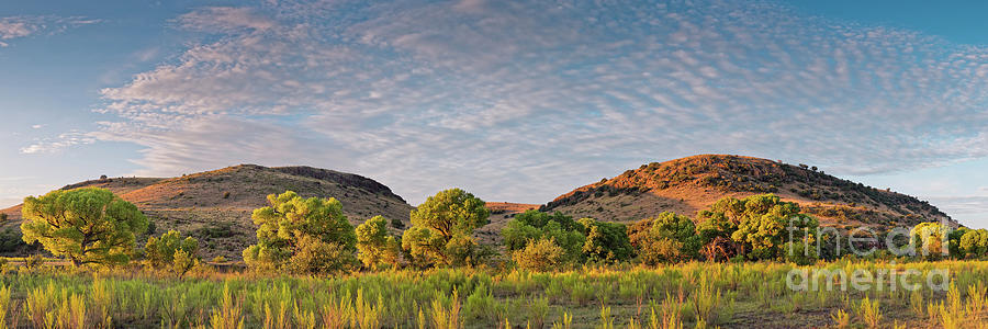 Sunrise Panorama of Cottonwoods along Limpia Creek - Davis Mountains West Texas Photograph by Silvio Ligutti