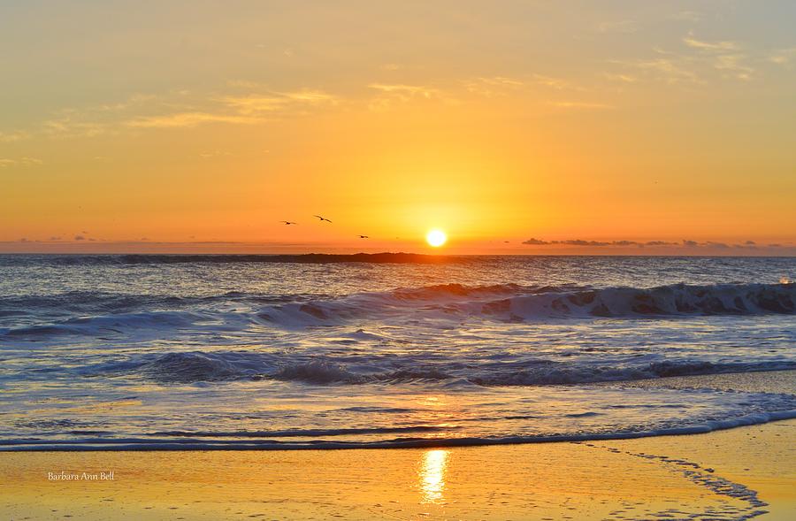Sunrise Pea Island Photograph by Barbara Ann Bell