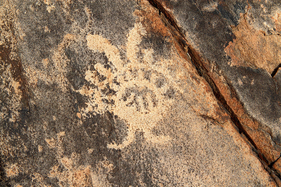 Sunrise Petroglyph BP_5159 Photograph by Brett Pelletier