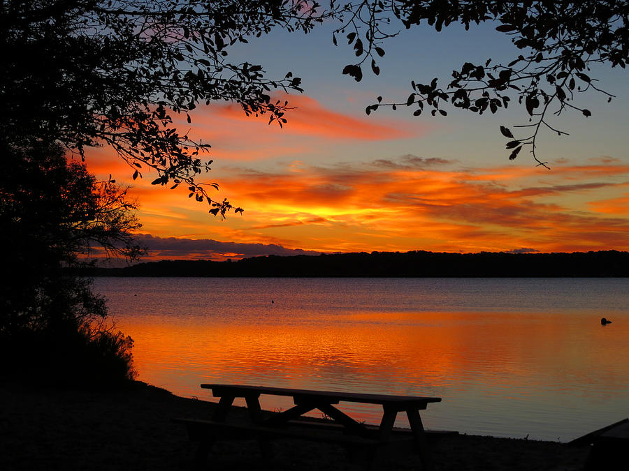 Sunrise Picnic - Long Pond Photograph by Dianne Cowen Cape Cod Photography