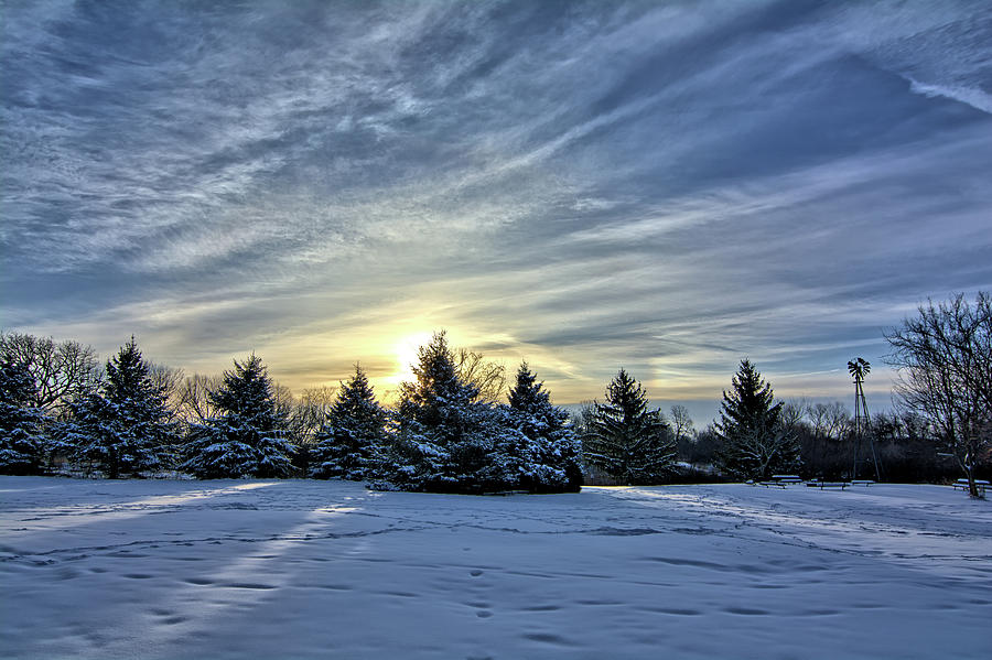 Sunrise Pines Photograph by Bonfire Photography
