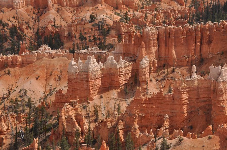 Sunrise Point - Bryce Canyon Photograph by Frank Madia