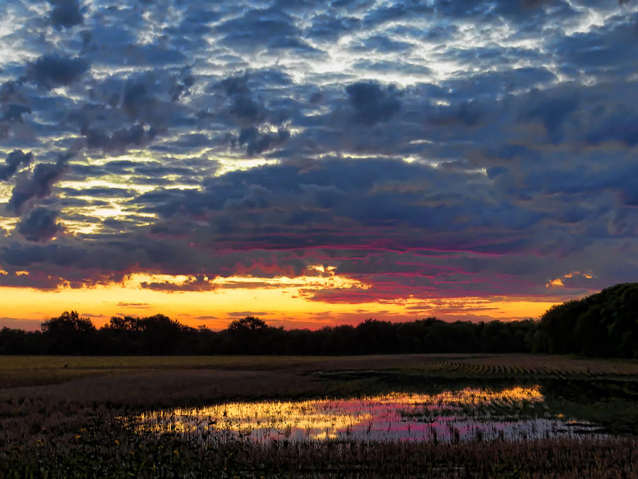 Sunrise Pond 1 Photograph by Carolyn Fletcher | Fine Art America