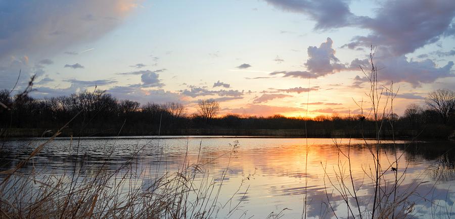 Sunrise Pond Photograph by Bonfire Photography
