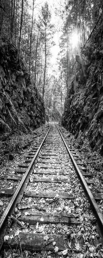 Sunrise Rails Black and White Vertical Panorama Photograph by Debra and Dave Vanderlaan