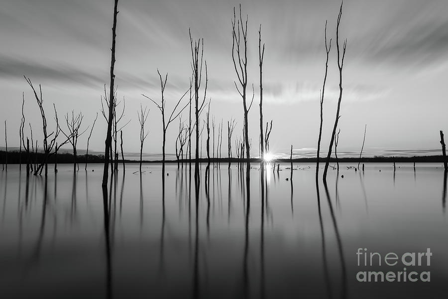 Sunrise Reflections at Manasquan Reservoir BW Photograph by Michael Ver Sprill