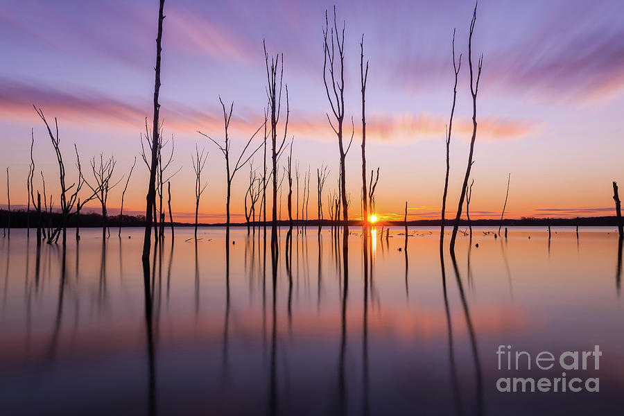 Sunrise Reflections at Manasquan Reservoir Photograph by Michael Ver Sprill