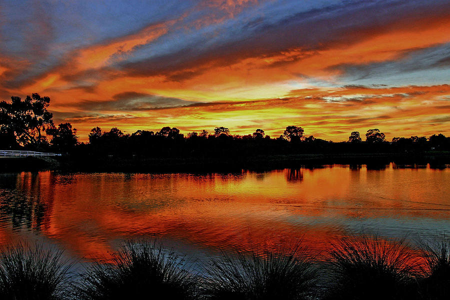 Sunrise  Riverton Photograph by Tony Brown
