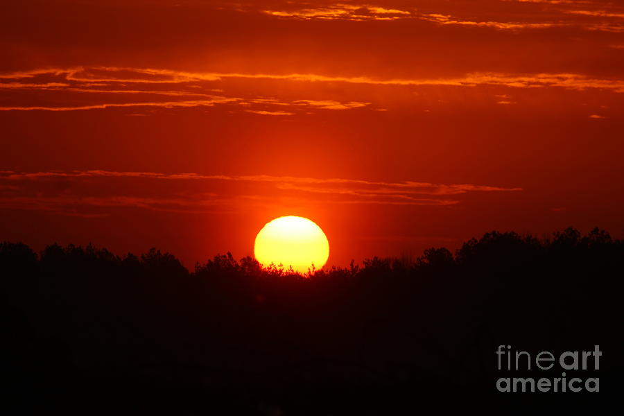 Sunrise Photograph by Robin Coaker