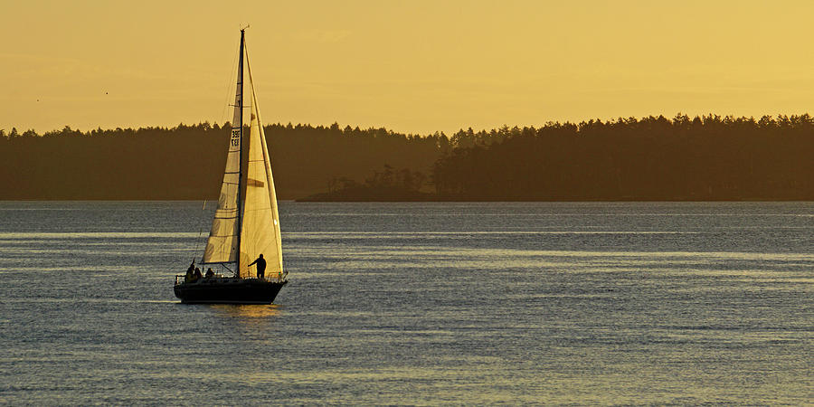 Sunrise Sail Photograph by Inge Riis McDonald