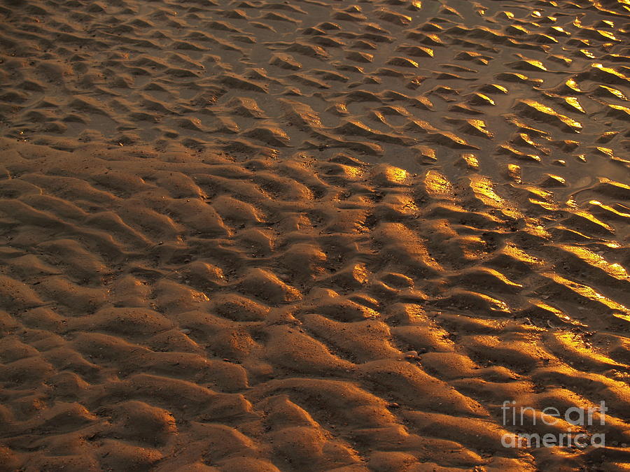 Sunrise Sand Patterns at Hunting Island Photograph by Anna Lisa Yoder