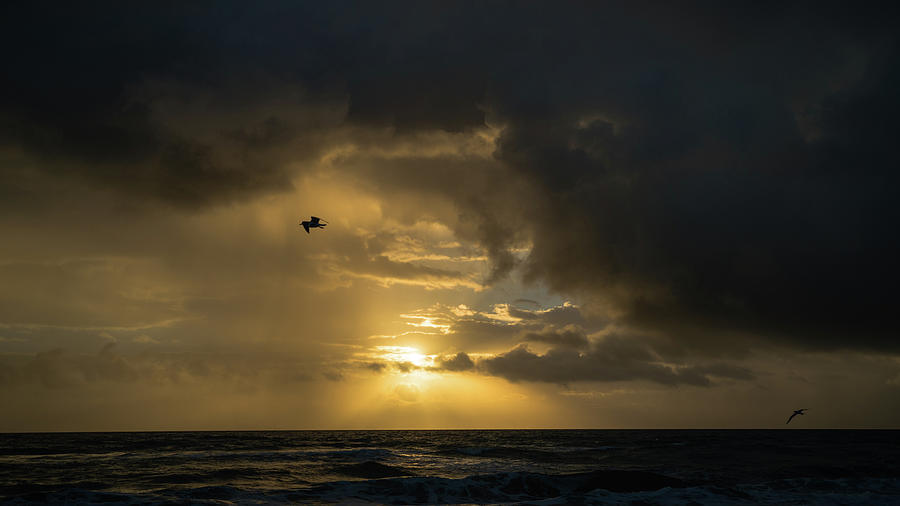 Sunrise Sentinel Delray Beach Florida Photograph by Lawrence S Richardson Jr