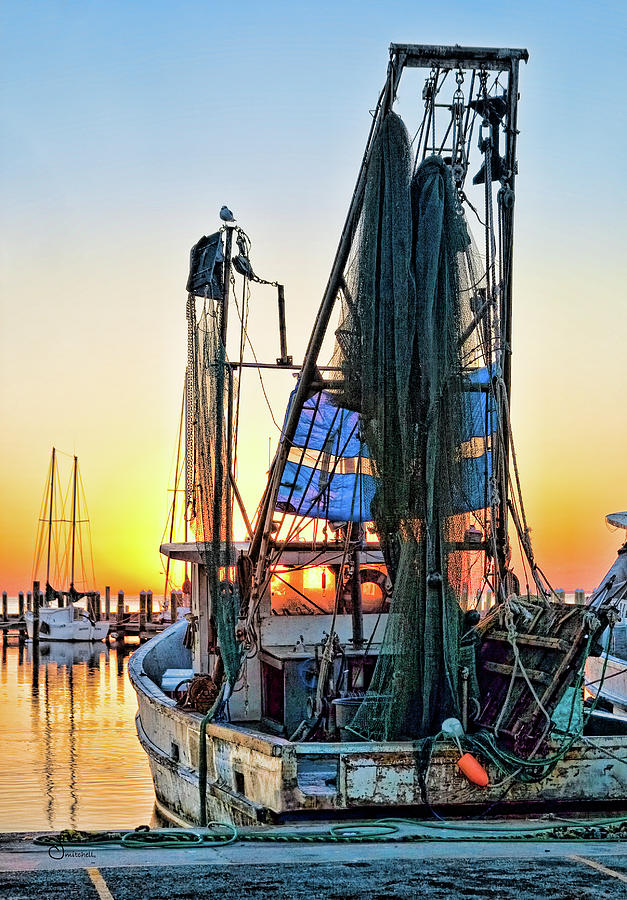 Sunrise Shrimpboat Photograph by Sally Mitchell