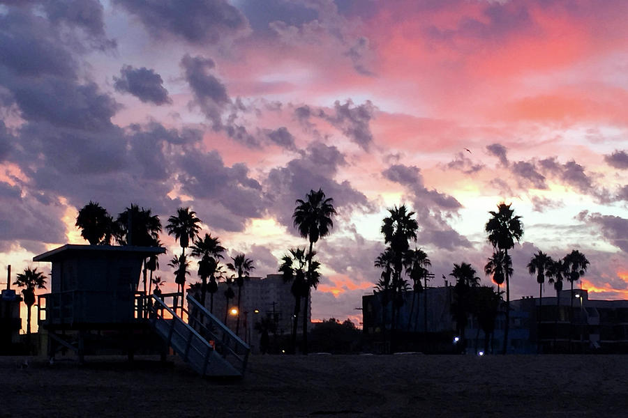Sunrise Silhouette Venice Beach CA Photograph by Art Block Collections