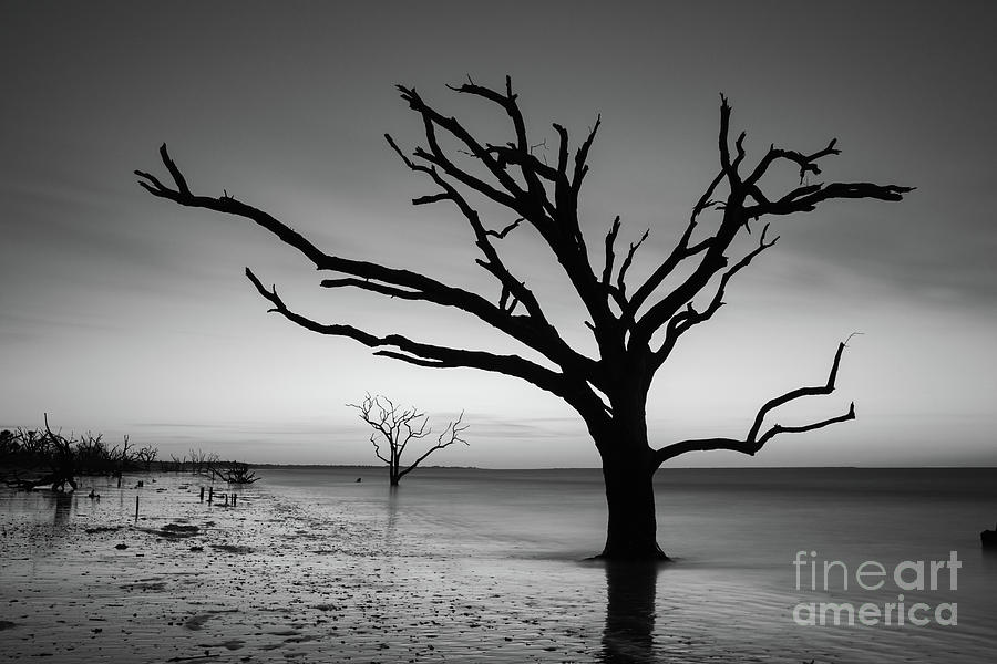 Sunrise Silhouette at Botany Bay Island BW Photograph by Michael Ver Sprill