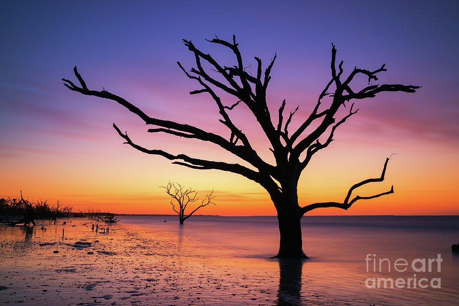 Sunrise Silhouette at Botany Bay Island Photograph by Michael Ver Sprill