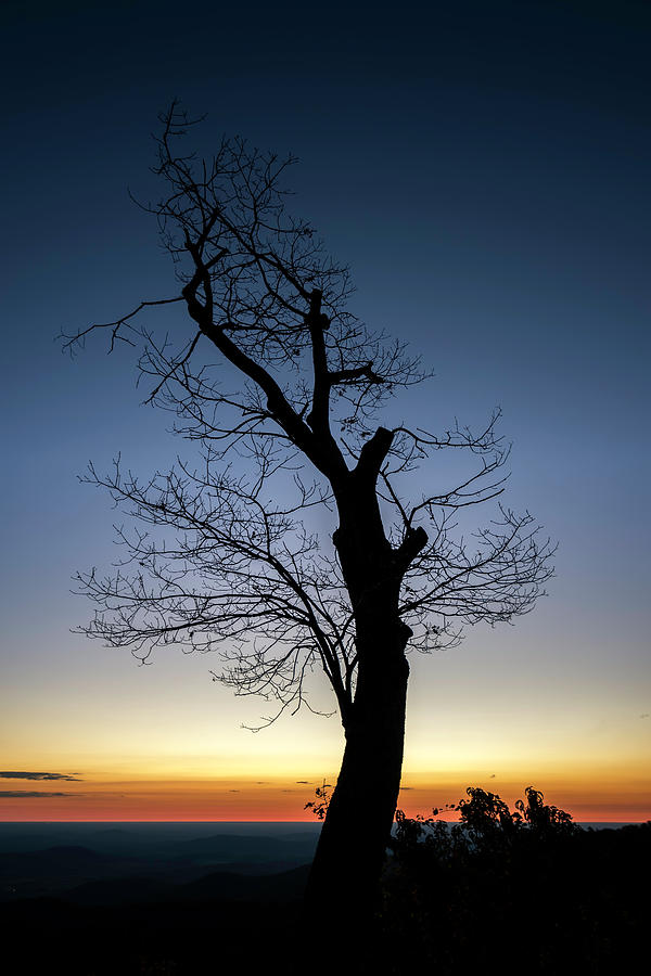 Sunrise Silhouette  Photograph by Ryan Wyckoff
