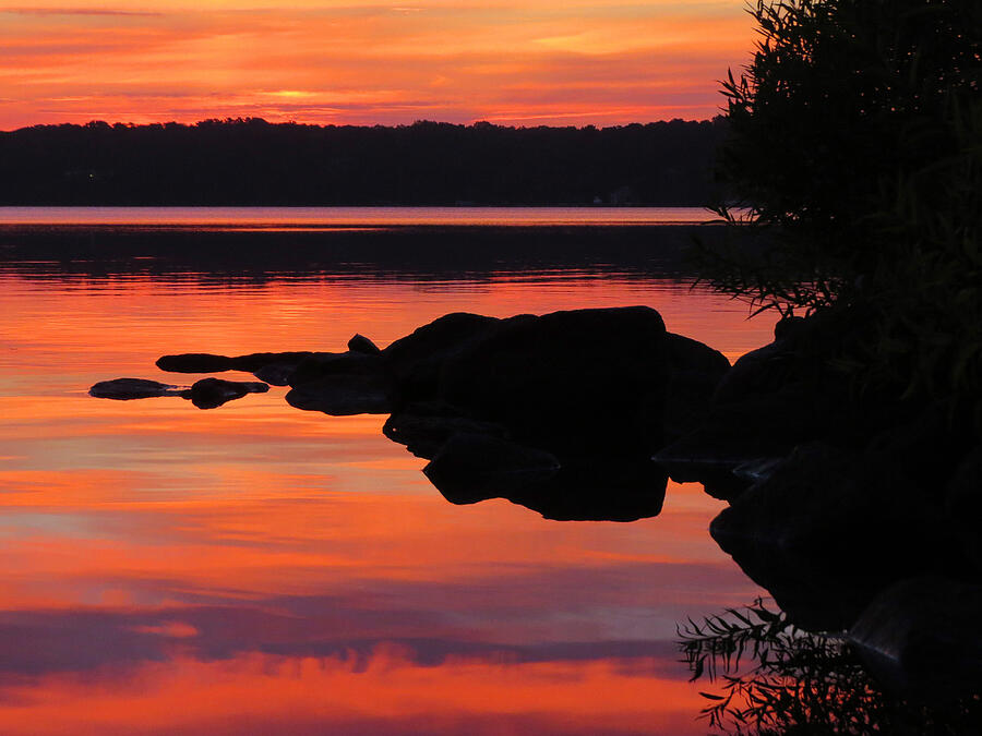 Sunrise Silhouettes - Long Pond  Photograph by Dianne Cowen Cape Cod Photography