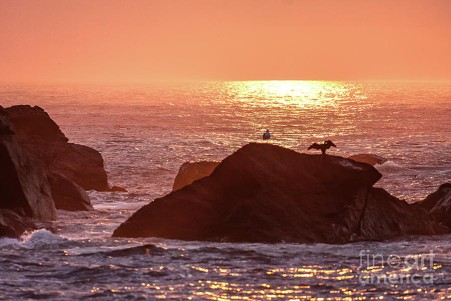 Sunrise, South Shore Photograph by Tom Cameron