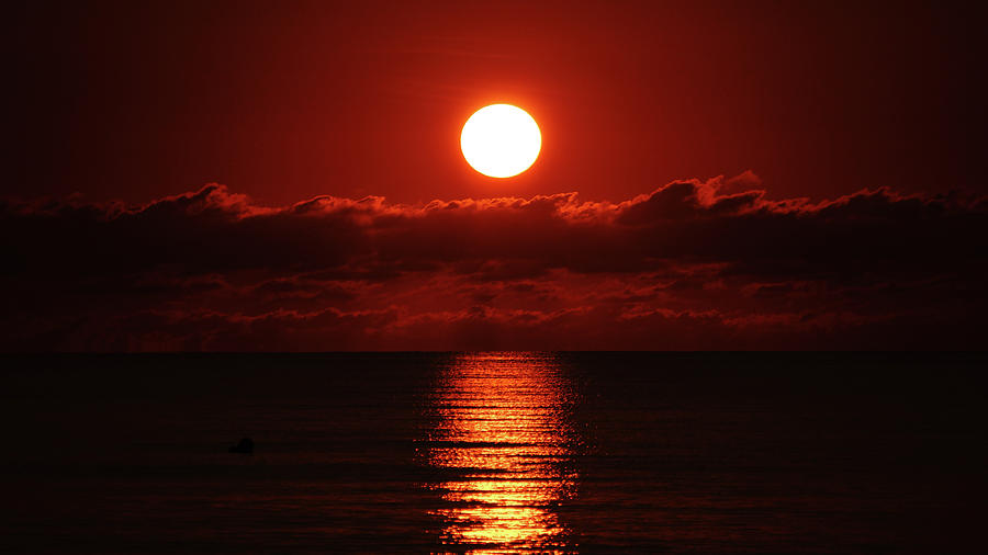 Sunrise Spotlight Delray Beach Florida Photograph by Lawrence S Richardson Jr