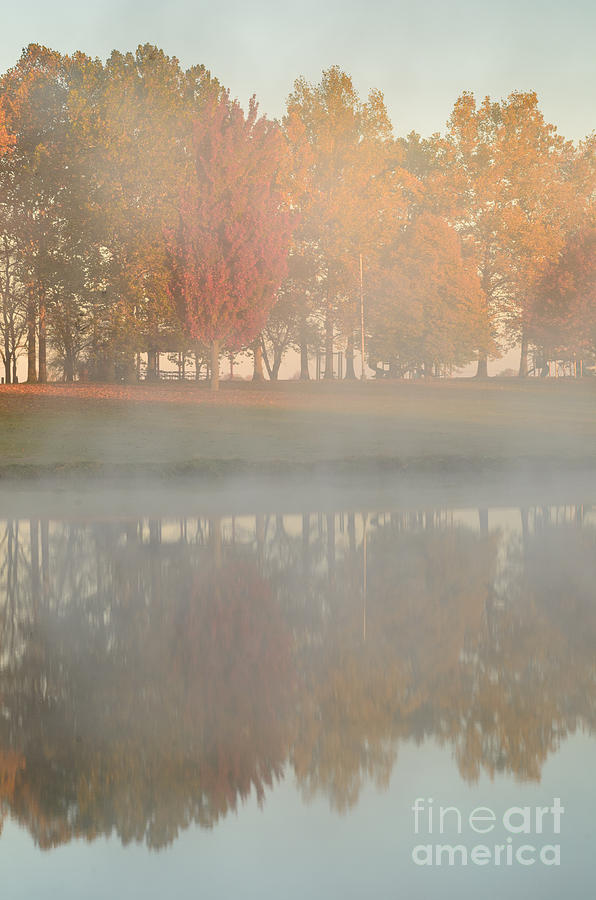 Sunrise Steam with Autumn Trees Photograph by Tamara Becker