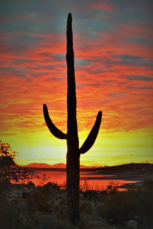 Sunrise Stick Figure Photograph by Mark Mitchell