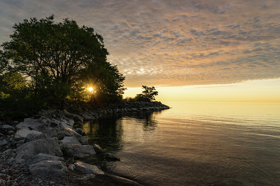 Sunrise Sun Star - Fluffy Down and See-through Silk on the Lakeshore Photograph by Georgia Mizuleva