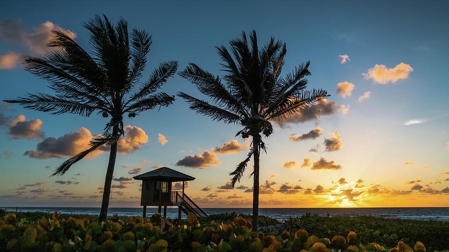 Sunrise Sunburst Palms Delray Beach Florida Photograph by Lawrence S Richardson Jr