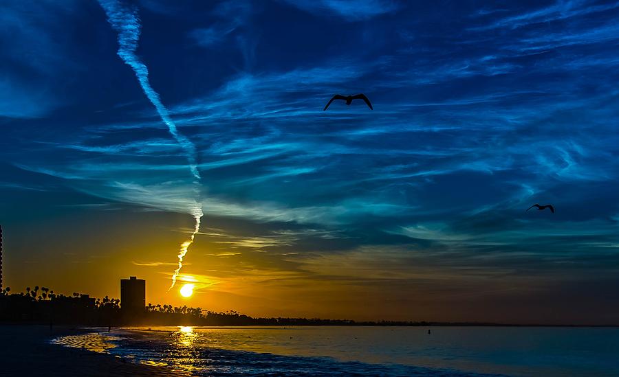 Seagull Photograph - Sunrise the Beach by John R Williams