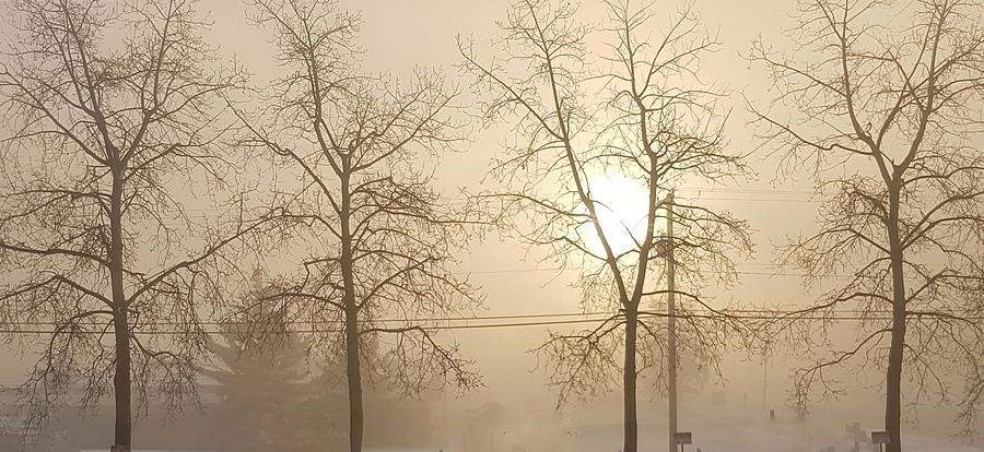 Sunrise Through The Fog Pyrography