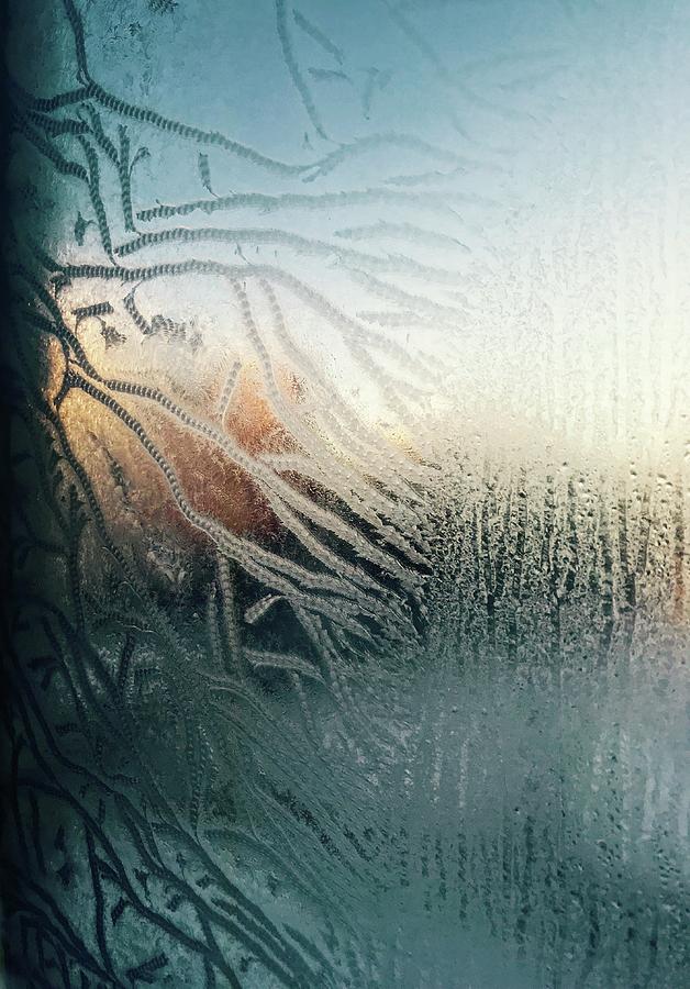Sunrise through the Frost Photograph by Brian Sereda