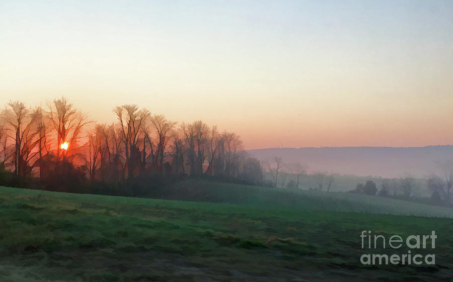 Sunrise Through The Trees Photograph by Kerri Farley