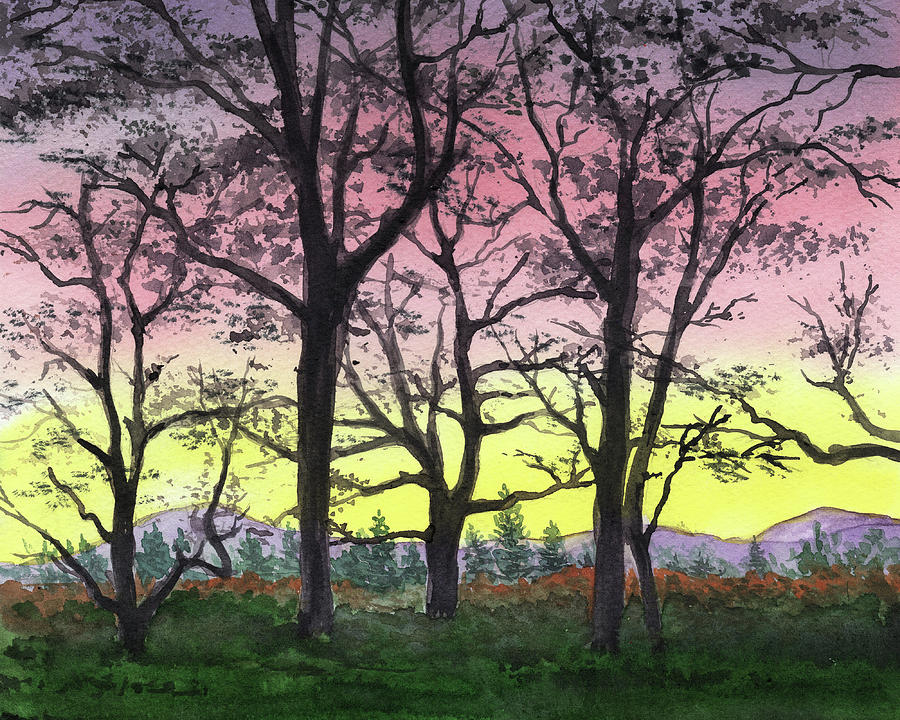 Sunrise Through The Trees Watercolor  Painting by Irina Sztukowski