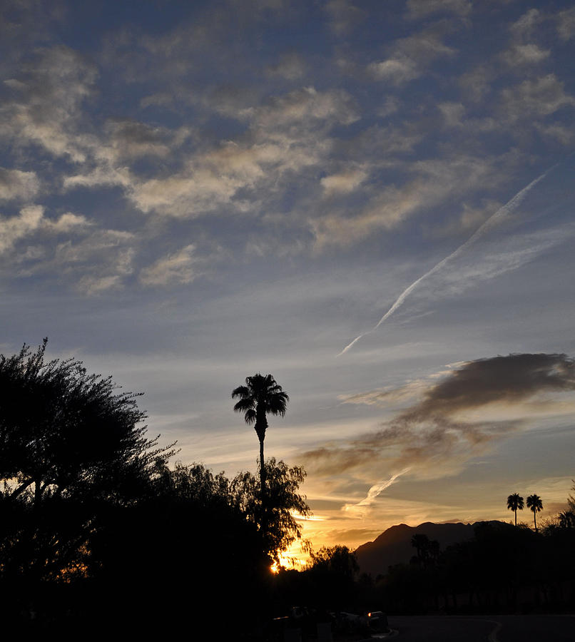 Sunrise Thru The Palm Trees Photograph by Jay Milo