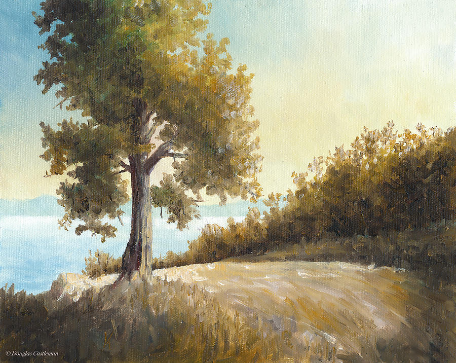 Sunrise Tree Plein Air Painting by Douglas Castleman