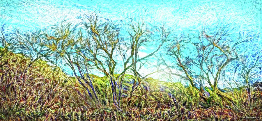 Sunrise Trees Awakening Digital Art by Joel Bruce Wallach